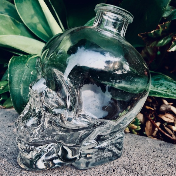 Small Crystal Head Skull Vodka Glass Bottle - Picture 2 of 4